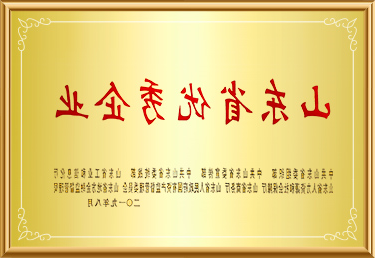 山东省优秀企业